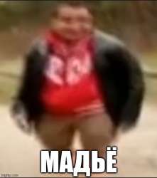 500x564