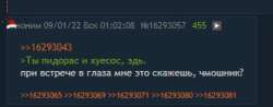 333x131