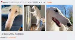 569x303