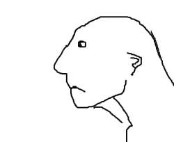 406x332