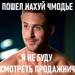 500x500