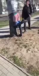 336x640