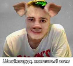 300x272