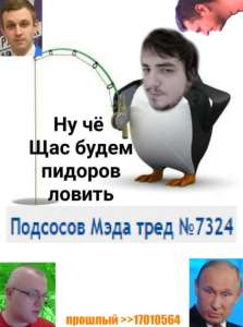 577x775