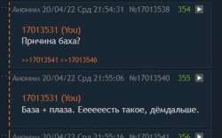 381x239