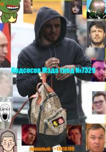 568x817