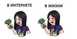 500x252