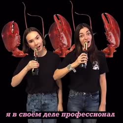 480x480