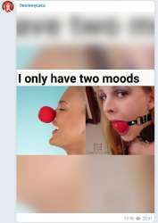 500x705