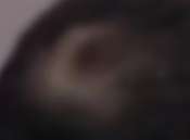 175x129