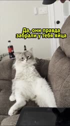 576x1024