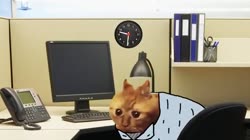 640x360