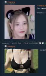 511x832