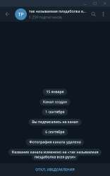 593x947