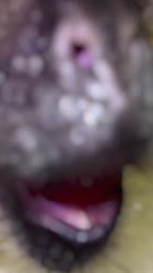 576x1024
