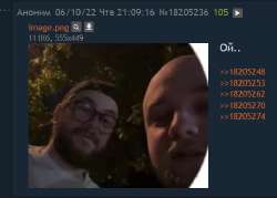 481x345