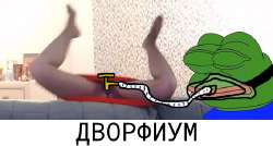 683x368