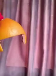 534x720