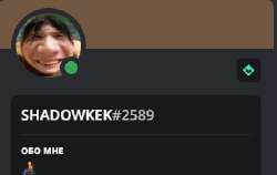 342x217