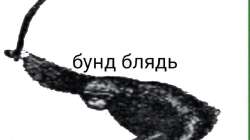 1080x607