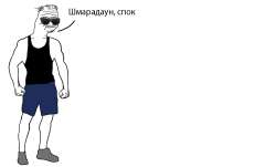 1481x900