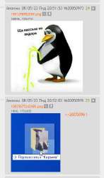 362x615