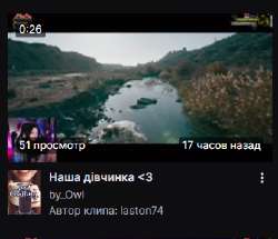 336x289