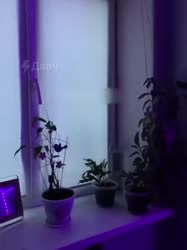 720x960