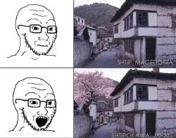 680x535