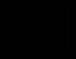 300x232
