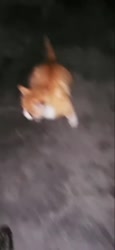 592x1280