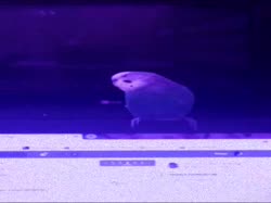 640x480