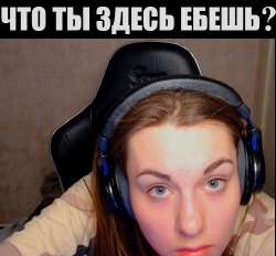 510x475