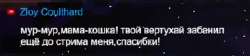 304x69