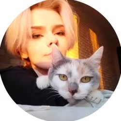 384x384