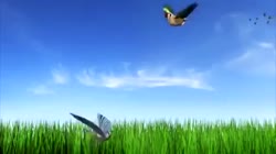 640x360