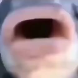 480x480