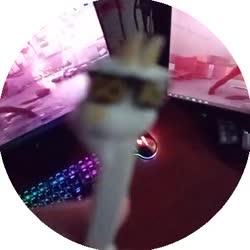 384x384