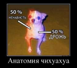 600x533