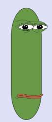 267x623