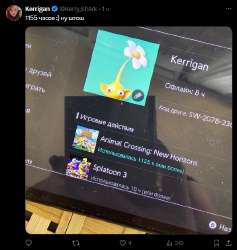 532x561