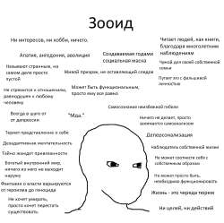 1267x1266