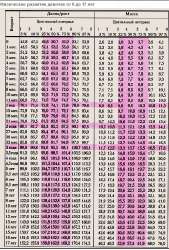 532x784