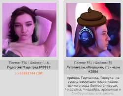 499x392