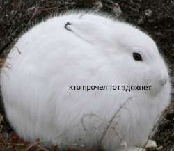 1024x892