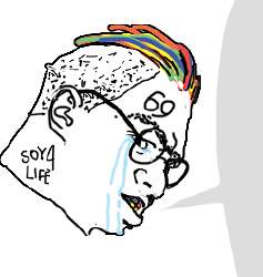 251x264