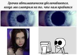 807x578