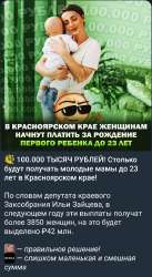 530x965