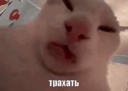 320x228