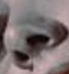 306x327